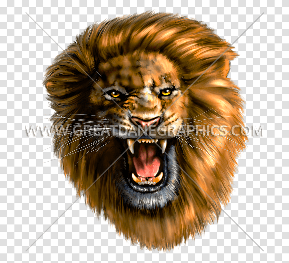 Lion Head Roaring, Honey Bee, Insect, Invertebrate, Animal Transparent Png