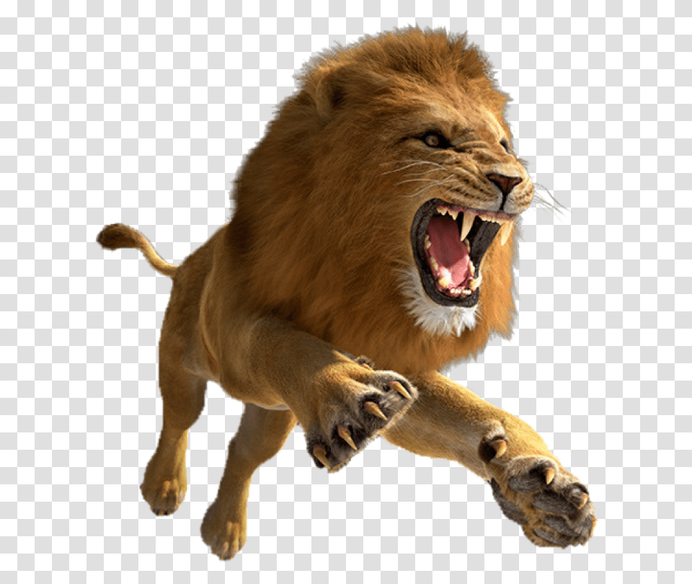 Lion Image Lion, Wildlife, Mammal, Animal, Dog Transparent Png