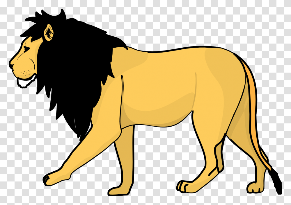 Lion Images Free Download Lions, Mammal, Animal, Cow, Cattle Transparent Png