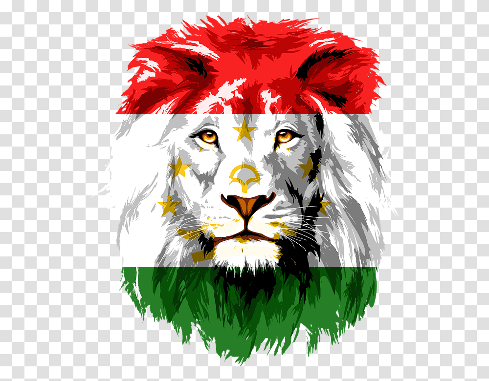 Lion Iran Tajikistan Afghanistan India Khujand Lion Head Clipart, Mammal, Animal, Face Transparent Png