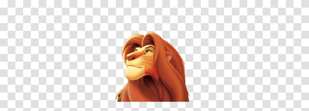 Lion King, Character, Person, Human, Face Transparent Png