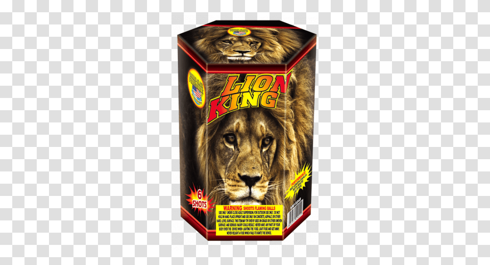Lion King Jake's Fireworks Lion King Firework, Animal, Mammal, Wildlife, Flyer Transparent Png