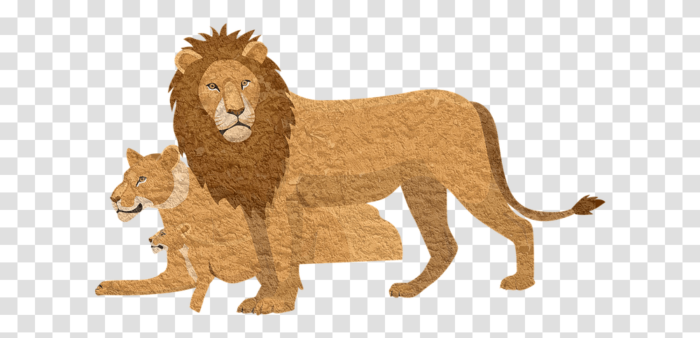 Lion King Shirts 2019, Mammal, Animal, Wildlife, Dinosaur Transparent Png