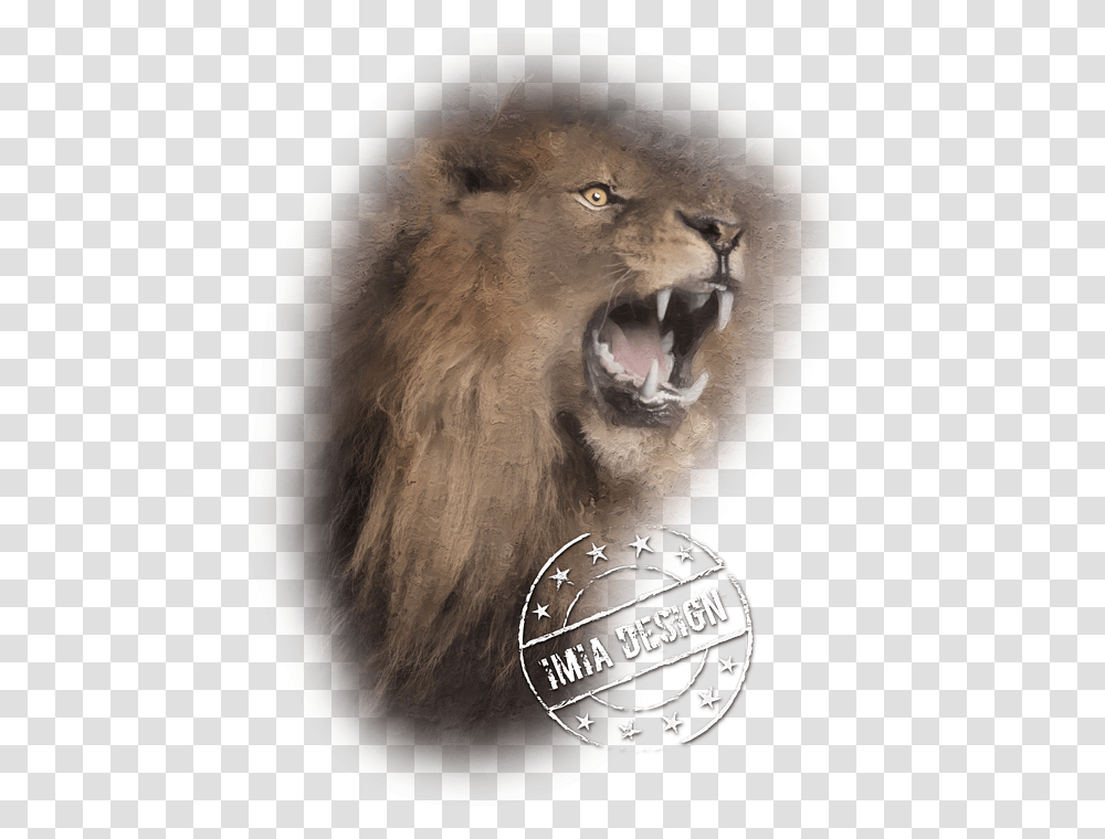 Lion, Mammal, Animal, Wildlife, Bird Transparent Png