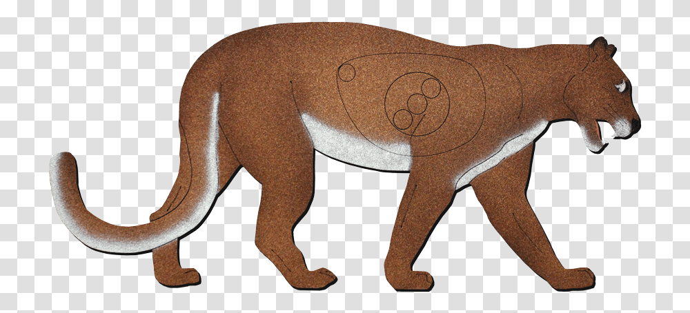 Lion, Mammal, Animal, Wildlife, Elephant Transparent Png