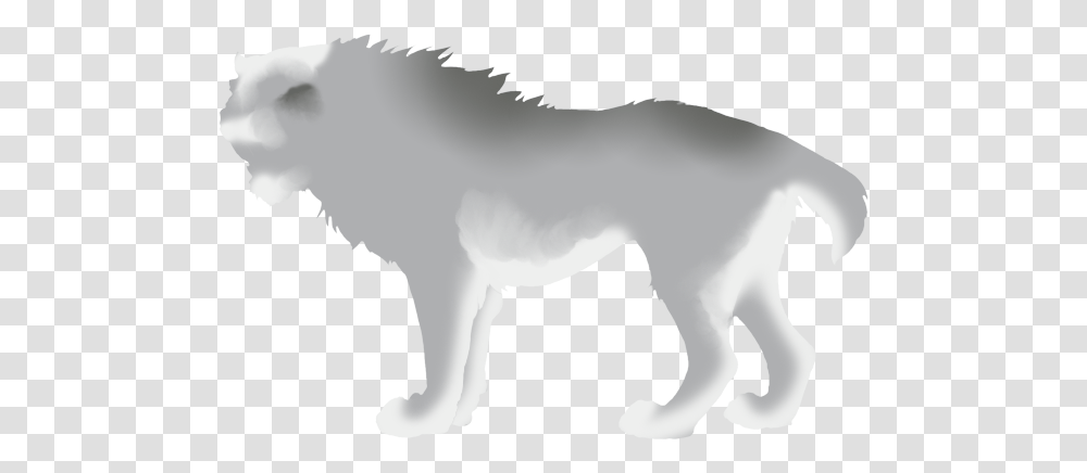 Lion, Mammal, Animal, Wildlife, Wolf Transparent Png