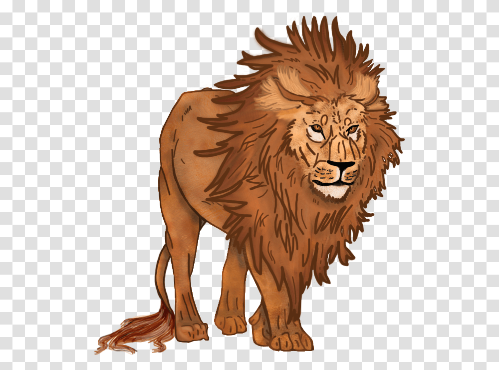 Lion Masai Lion, Wildlife, Animal, Mammal, Tiger Transparent Png
