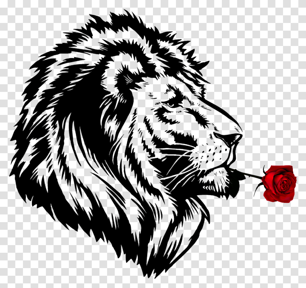Lion's Roar Cheetah Lion's Roar Drawing Lion Black And White, Rose, Flower, Plant, Blossom Transparent Png