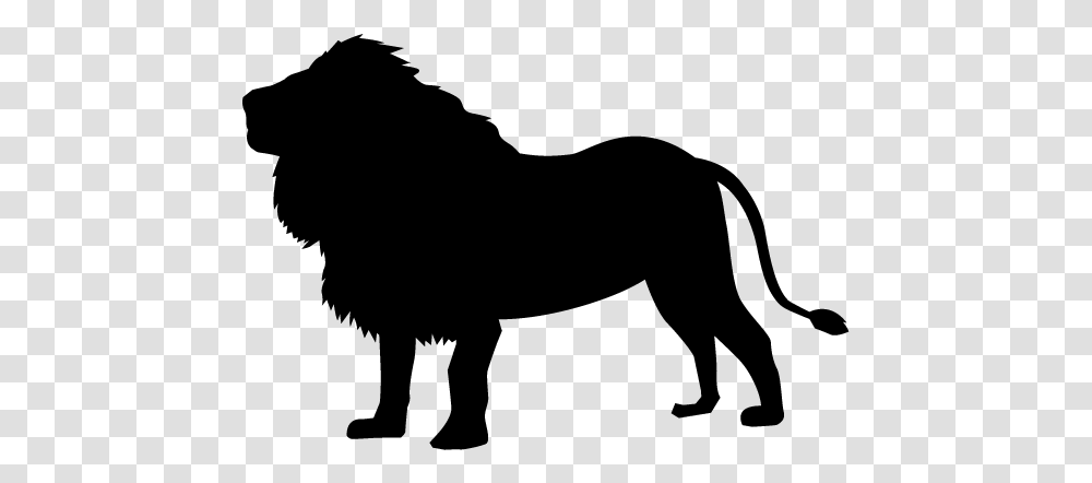 Lion Silhouette Lion, Gray, World Of Warcraft Transparent Png