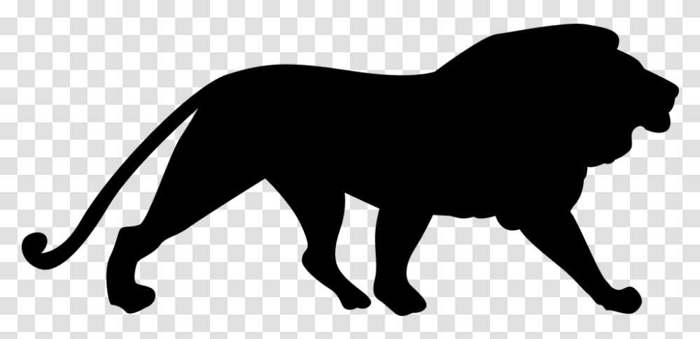 Lion Silhouette Lion Silhouette, Gray, World Of Warcraft Transparent Png