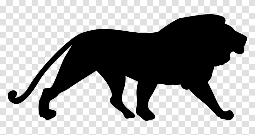 Lion Silhouette, Wildlife, Animal, Mammal, Panther Transparent Png