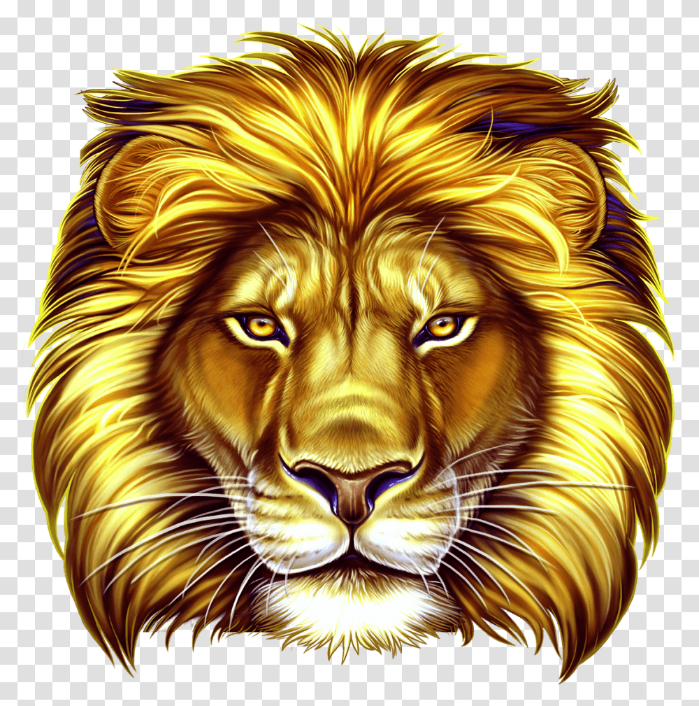 Lion Slot, Wildlife, Animal, Mammal, Tiger Transparent Png