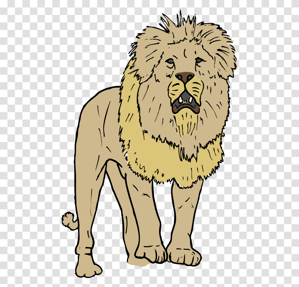 Lion Svg Clip Arts Lion Carnivores Clipart, Mammal, Animal, Wildlife, Person Transparent Png