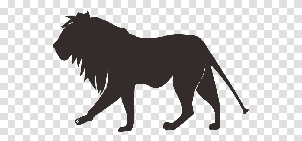Lion Tiger Cougar Felidae Lion Country Safari, Animal, Mammal, Wildlife, Panther Transparent Png