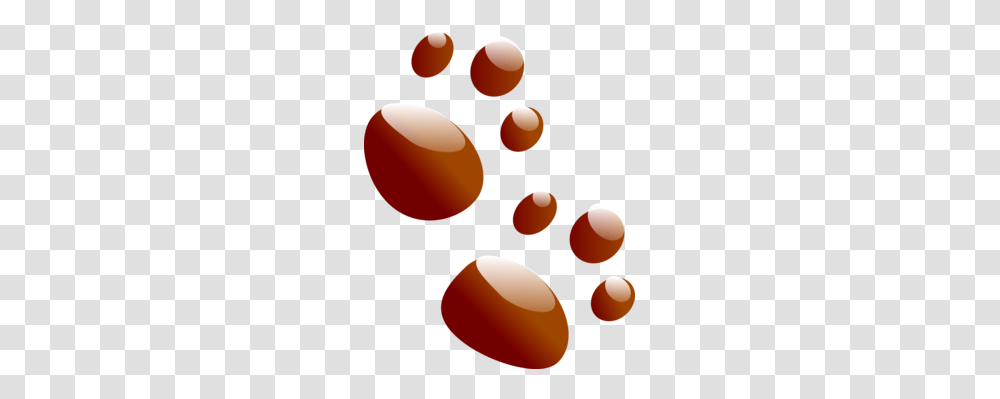 Lion Tiger Dog Cat Paw, Plant, Food, Sweets, Confectionery Transparent Png