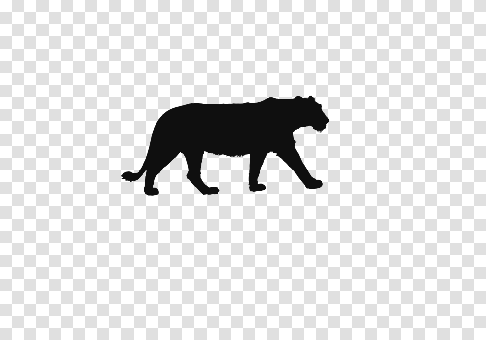 Lion Tiger Wild Animals Background Lion Paper Cutting Black, Silhouette, Wildlife, Mammal, Stencil Transparent Png