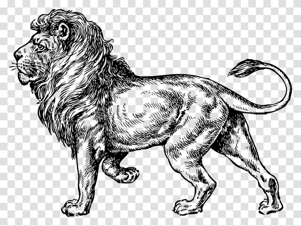 Lion Walking Tattoo, Gray, World Of Warcraft Transparent Png