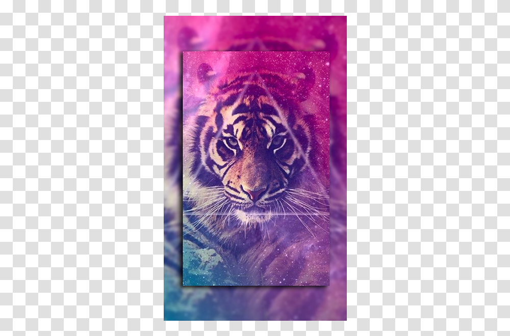 Lion Wallpaper Galaxy, Wildlife, Animal, Mammal, Tiger Transparent Png