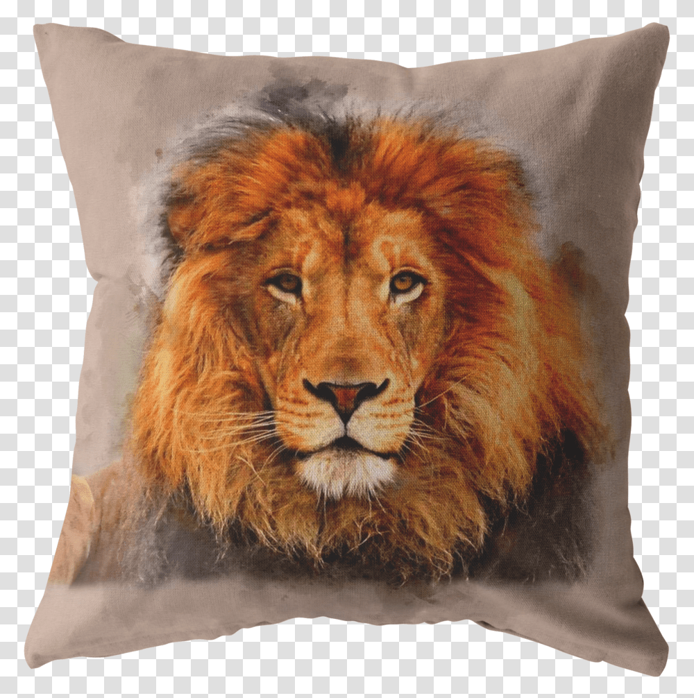 Lion Watch Pillows Jolie Lion, Cushion, Wildlife, Mammal, Animal Transparent Png