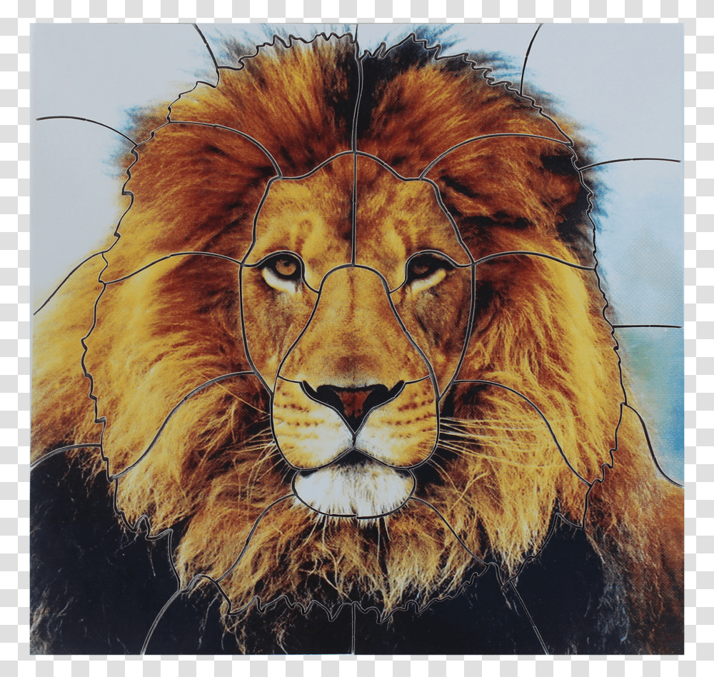 Lion Wildlife Heritage Foundation, Mammal, Animal, Horse Transparent Png