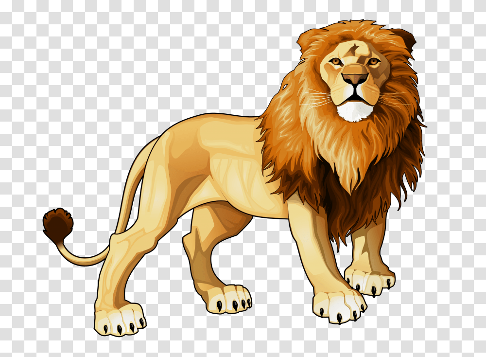 Lion, Wildlife, Mammal, Animal, Horse Transparent Png