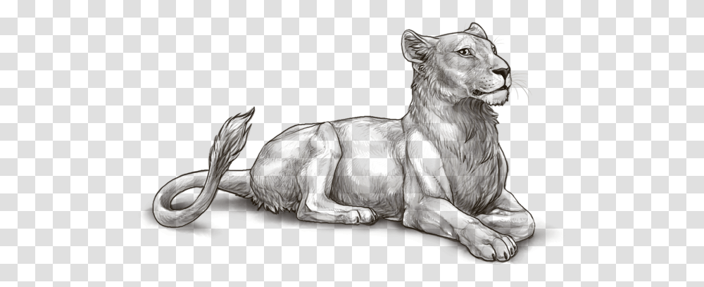 Lioness And Cubs, Mammal, Animal, Wildlife, Wolf Transparent Png