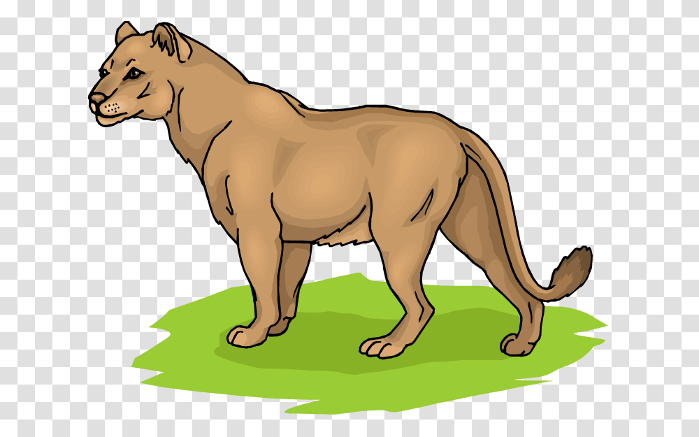Lioness Clipart, Mammal, Animal, Horse, Pet Transparent Png