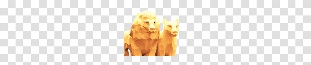 Lioness Designs On Dribbble, Paper, Animal, Mammal Transparent Png