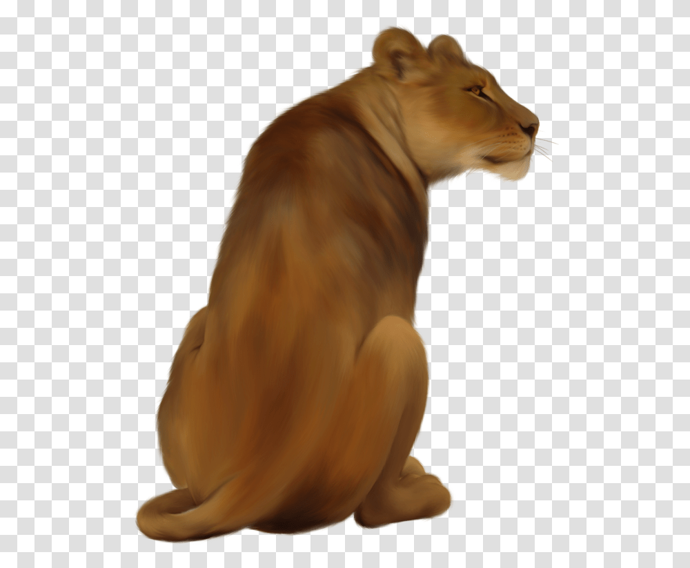 Lioness Pic Lioness, Mammal, Animal, Person, Human Transparent Png