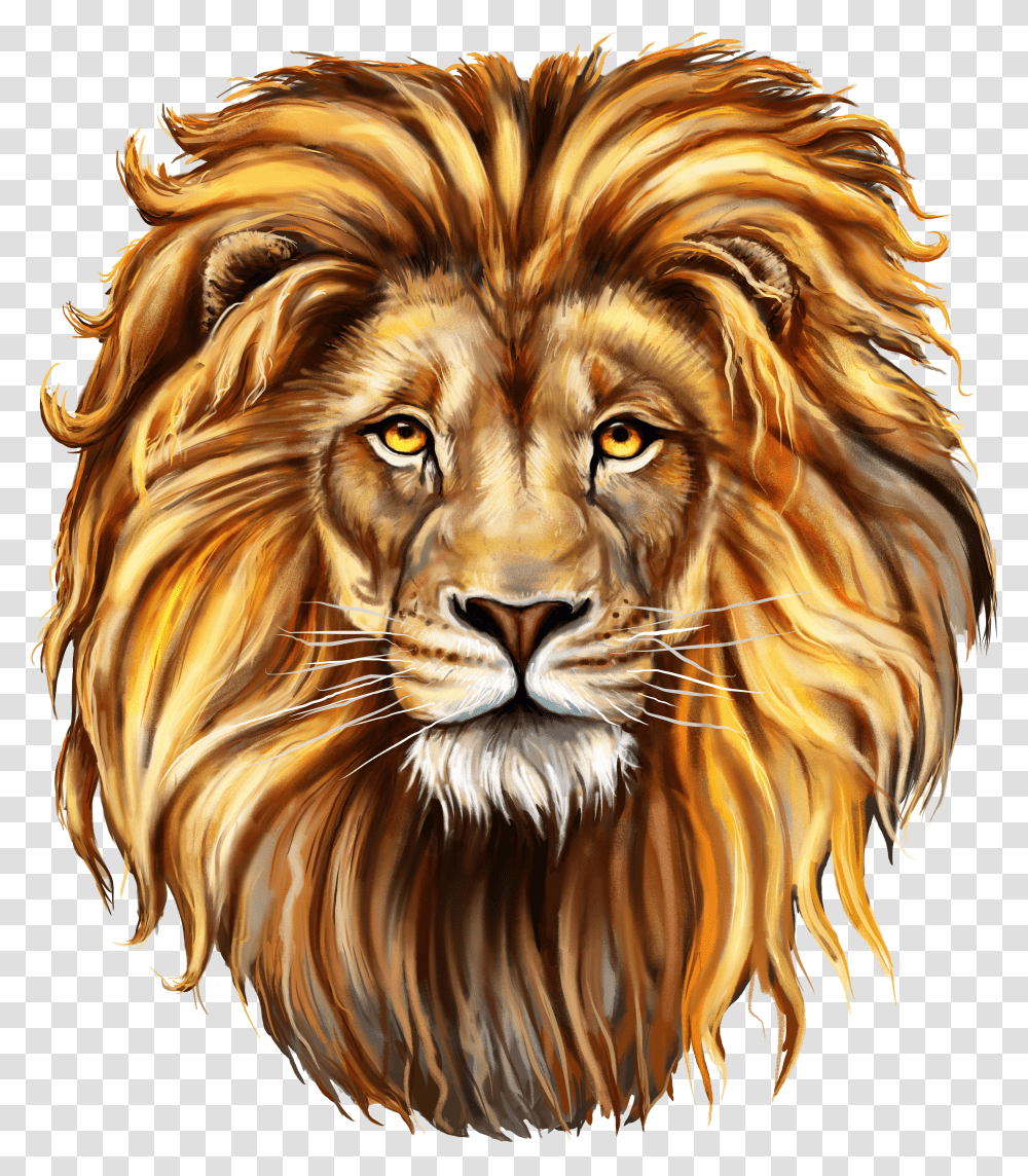 Lioness Transparent Png