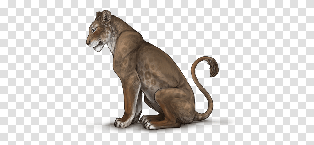 Lioness V Cougar, Mammal, Animal, Wildlife, Dog Transparent Png
