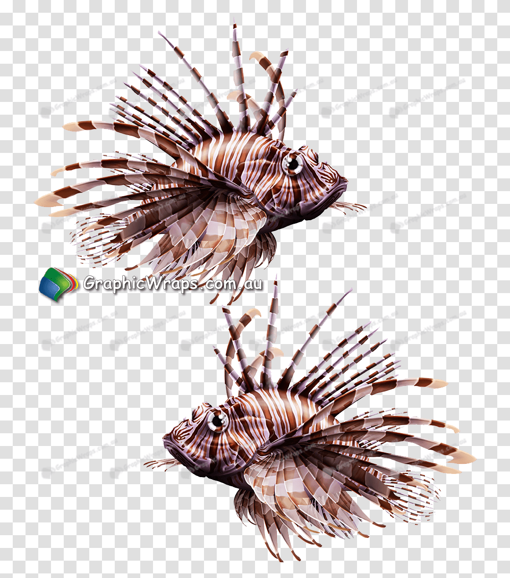 Lionfish Download Lionfish, Poster, Advertisement Transparent Png