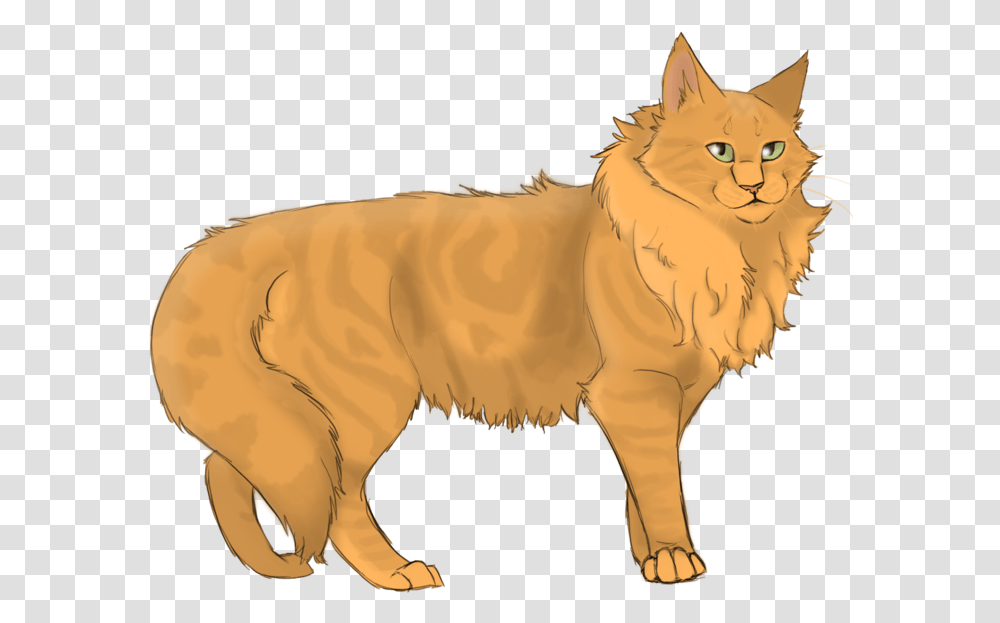Lionheart Warrior Cat Orange Cats, Animal, Mammal, Pet, Horse Transparent Png