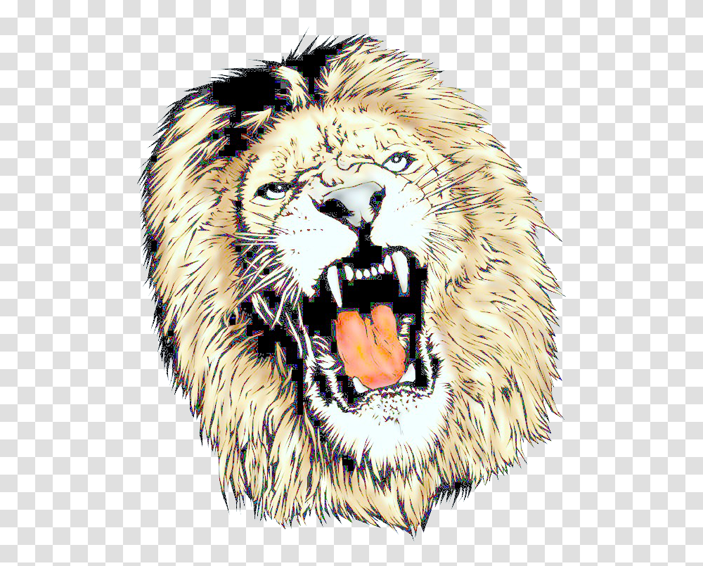 Lions Head Images, Wildlife, Animal, Mammal, Chicken Transparent Png