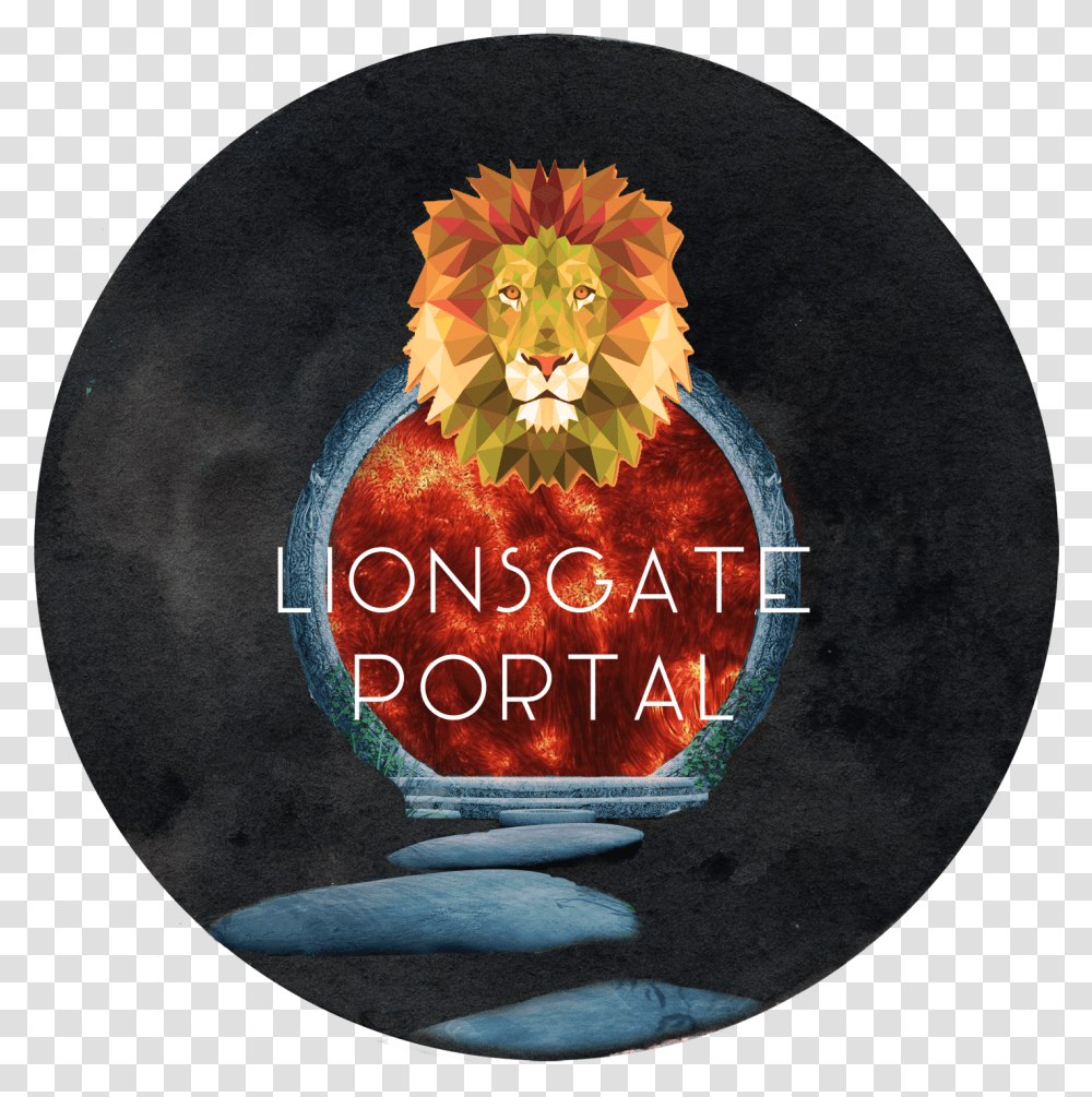 Lionsgate Portal August T Shirt, Mammal, Animal, Birthday Cake, Food Transparent Png