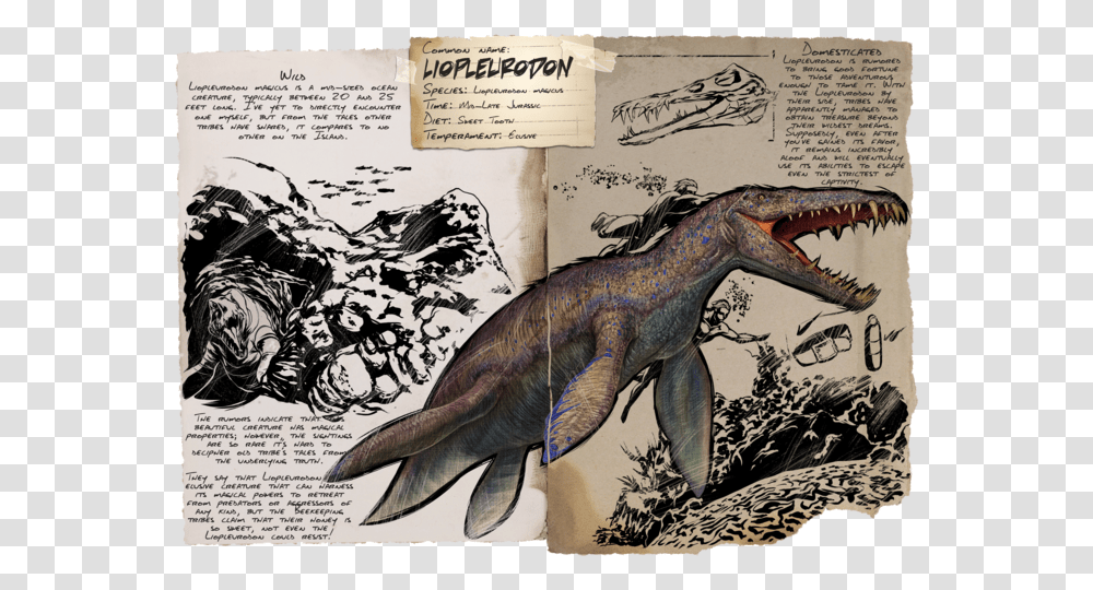 Liopleurodon Ark, Drawing, Tiger, Wildlife Transparent Png
