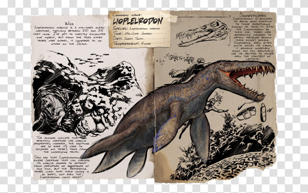 Liopleurodon Ark, Tiger, Wildlife, Mammal, Animal Transparent Png