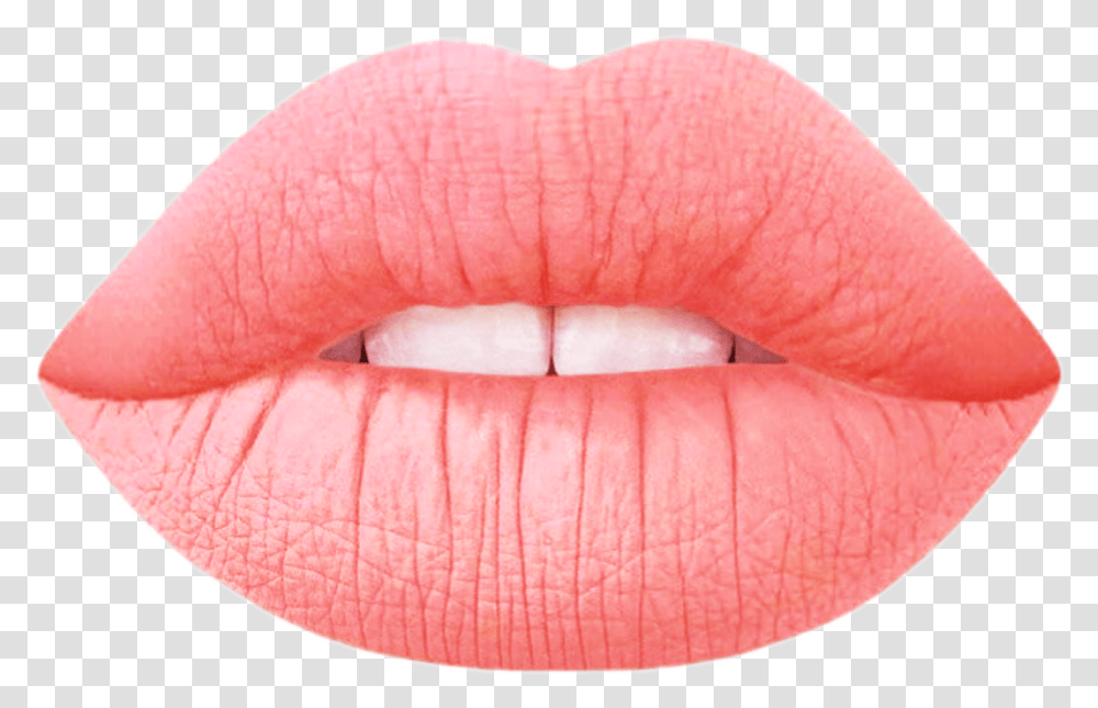 Lip Gloss Lipstick On Mouth No Background, Teeth, Tongue Transparent Png