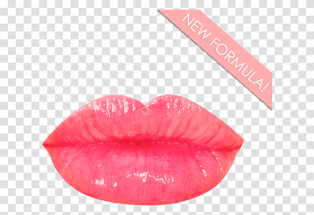 Lip Gloss, Mouth, Cosmetics, Lipstick, Flower Transparent Png