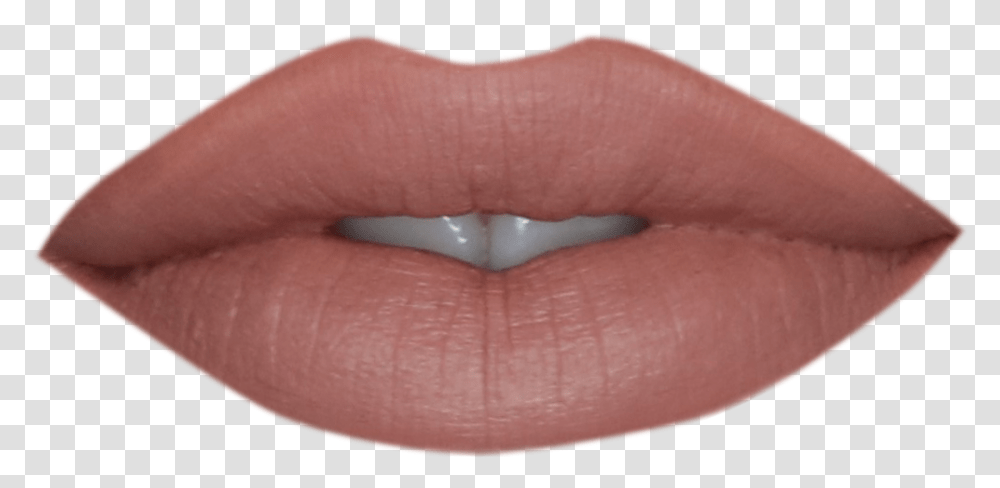 Lip Gloss, Mouth, Person, Human, Teeth Transparent Png