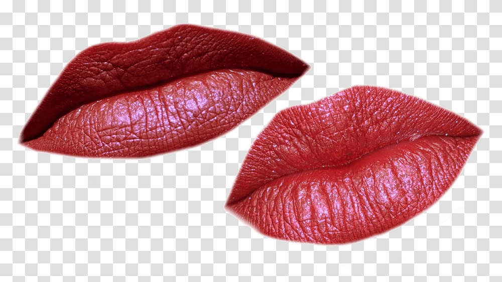 Lip Gloss, Plant, Mouth, Flower, Blossom Transparent Png