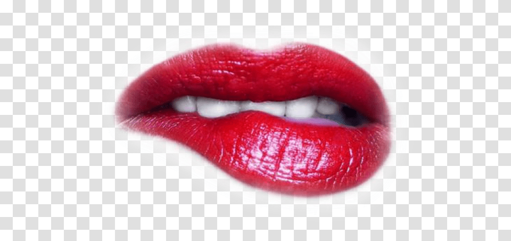 Lips Images Everytime I See You I Want To Rip Your Clothes Off, Lipstick, Cosmetics, Mouth, Teeth Transparent Png
