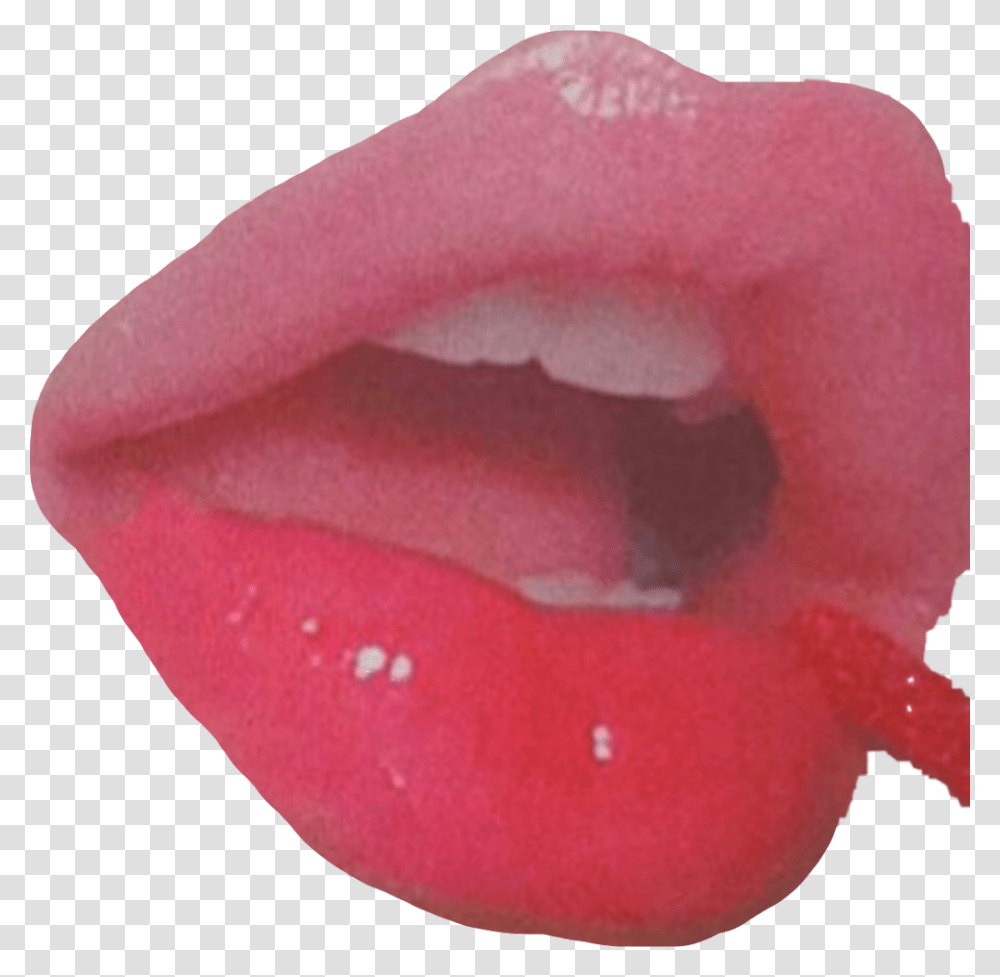 Lips Lip Lipgloss Glass Aesthetic Vintageaesthetic Tongue, Petal, Flower, Plant, Blossom Transparent Png