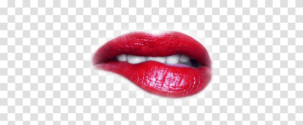 Lips, Person, Lipstick, Cosmetics, Mouth Transparent Png