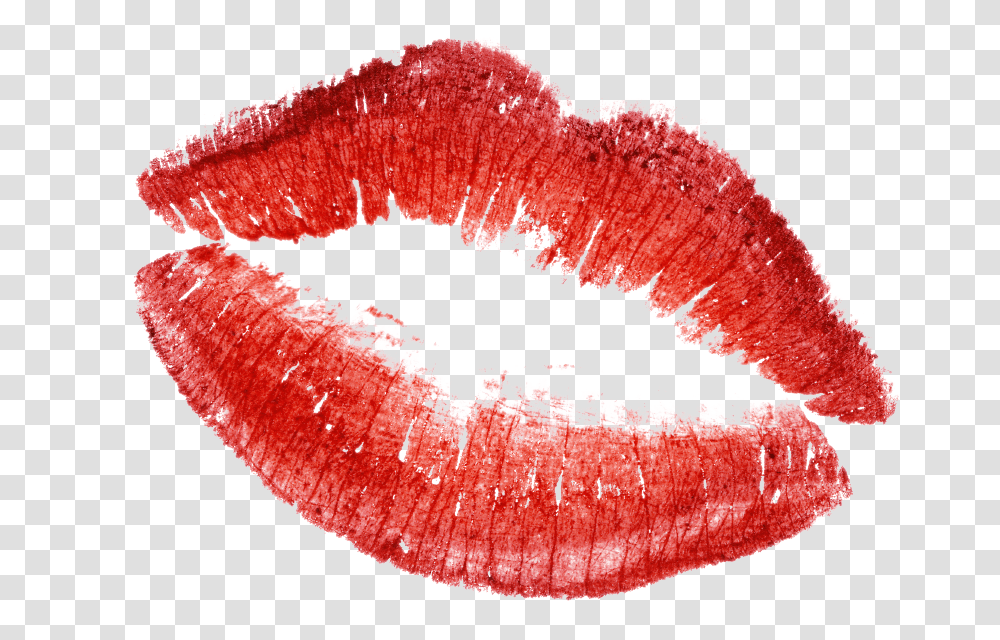 Lips, Person, Mouth, Cosmetics, Lipstick Transparent Png