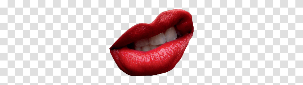 Lips, Person, Teeth, Mouth, Lipstick Transparent Png