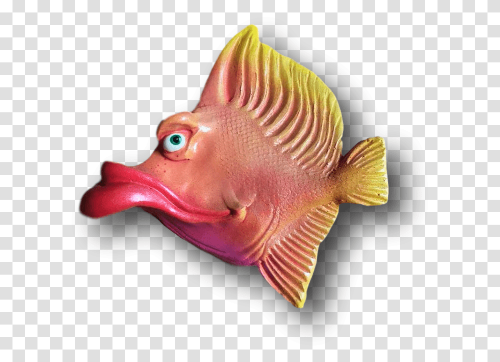 Lips The Fish Coral Reef Fish, Animal, Angelfish, Sea Life, Aquatic Transparent Png