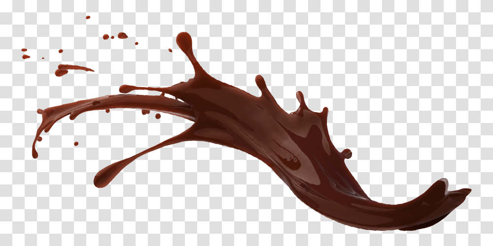 Liquid Melted Chocolate, Slug, Invertebrate, Animal, Wood Transparent Png