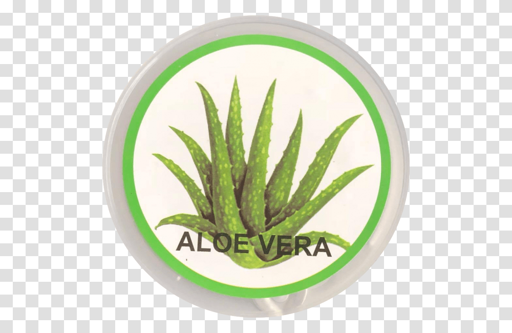 Liquid Wax Aloevera 1000g Agave, Plant, Pineapple, Fruit, Food Transparent Png
