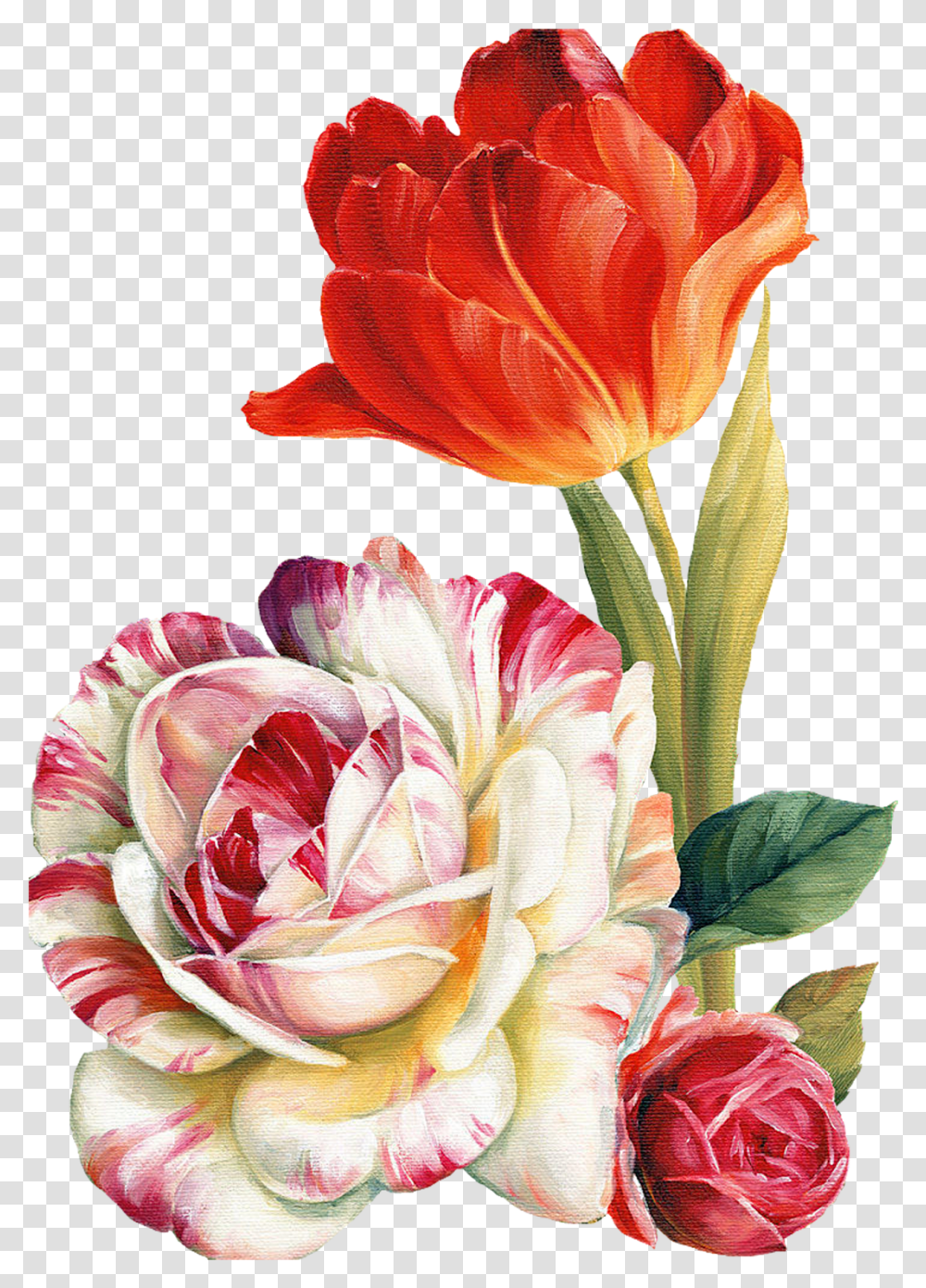 Lis Audit Flower Painting, Plant, Blossom, Rose, Flower Arrangement Transparent Png